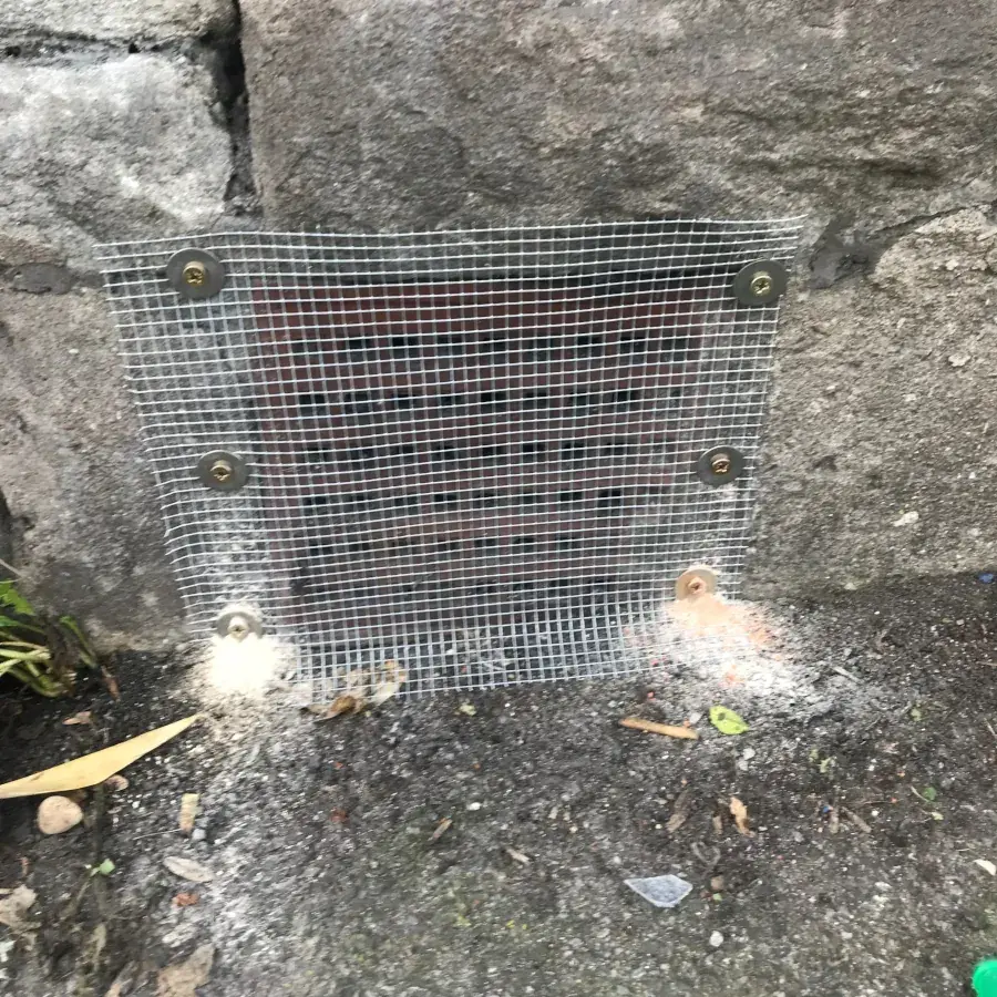 Pest Control Specialist Bristol, Weston-super-Mare and Bath 