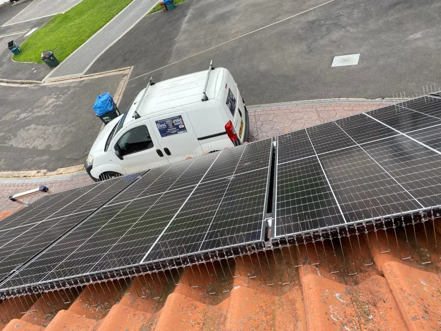 Commercial Pest Control Bristol, Weston-super-Mare and Bath 