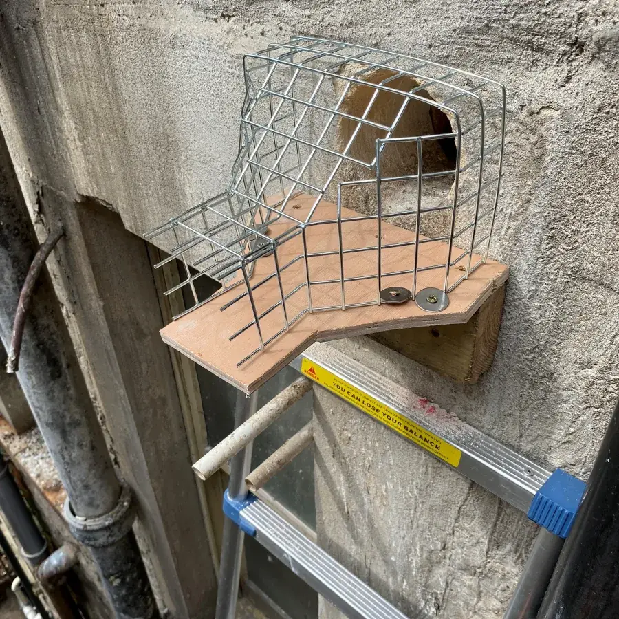 Business Pest Control Bristol, Weston-super-Mare, Bath