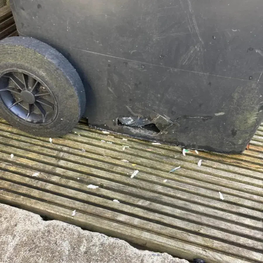 Commercial Rat Control Bristol, Weston-super-Mare and Bath 