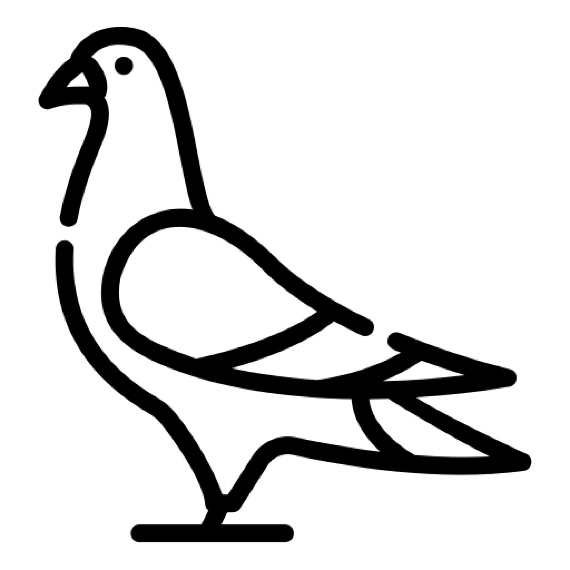 Bird control and proofing